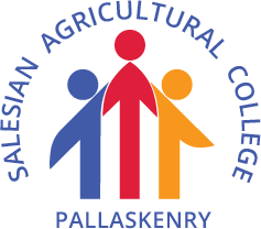 Solutions Recruitment Tralee Kerry